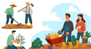 مالکیت زمین کشاورزی
